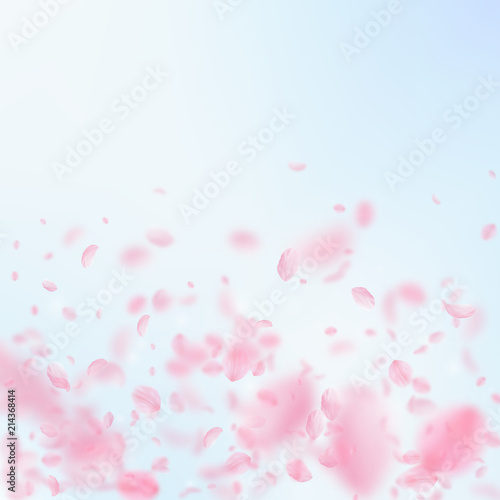 Sakura petals falling down. Romantic pink flowers gradient. Flying petals on blue sky square background. 