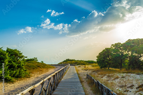 Fotografia wooden footbridge on the beach