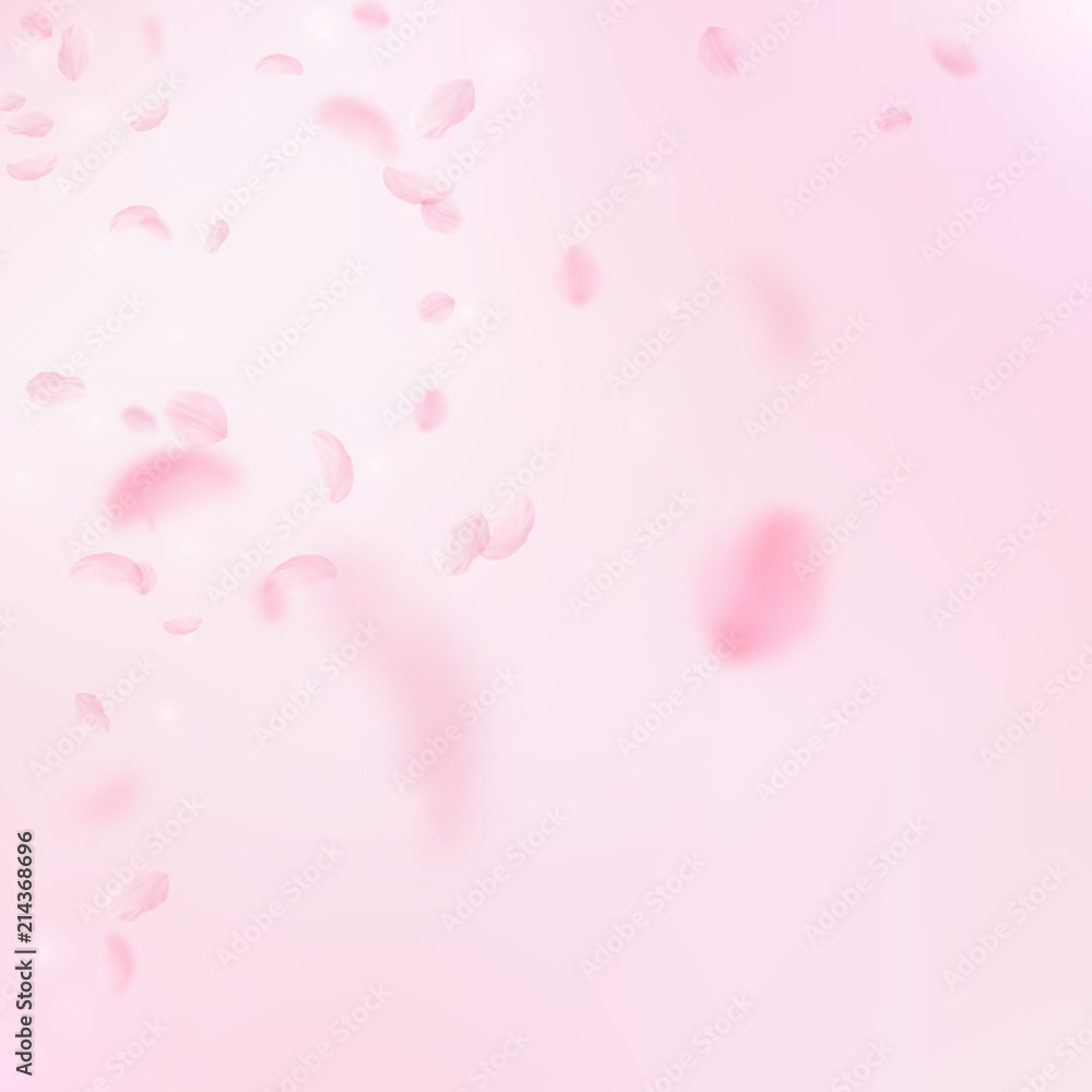 Sakura petals falling down. Romantic pink flowers corner. Flying petals on pink square background. 