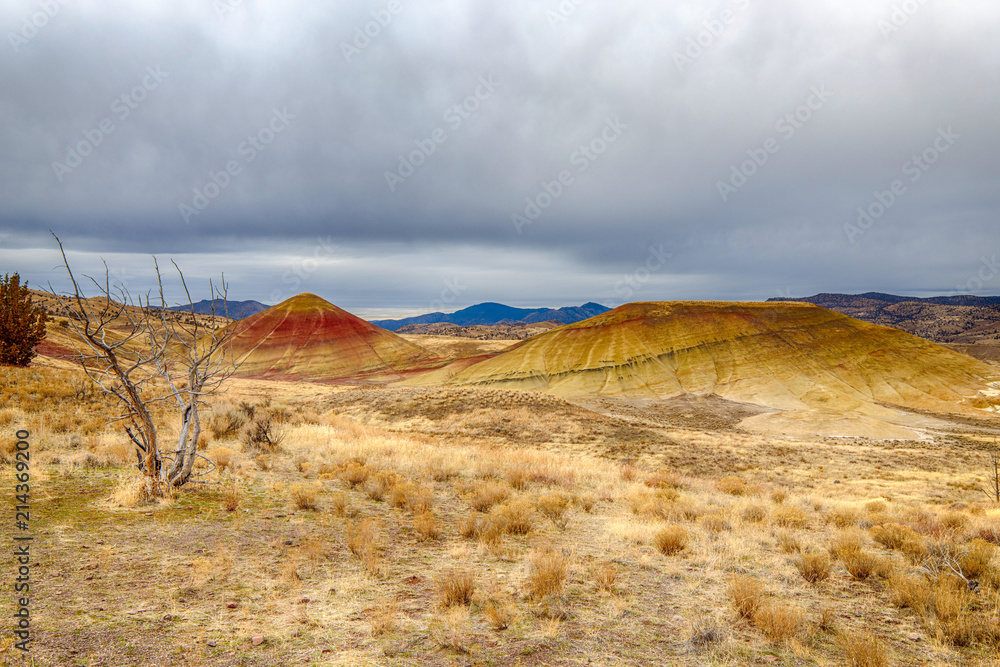 Obraz premium Painted Hills at John Day Fossil Beds National Monument