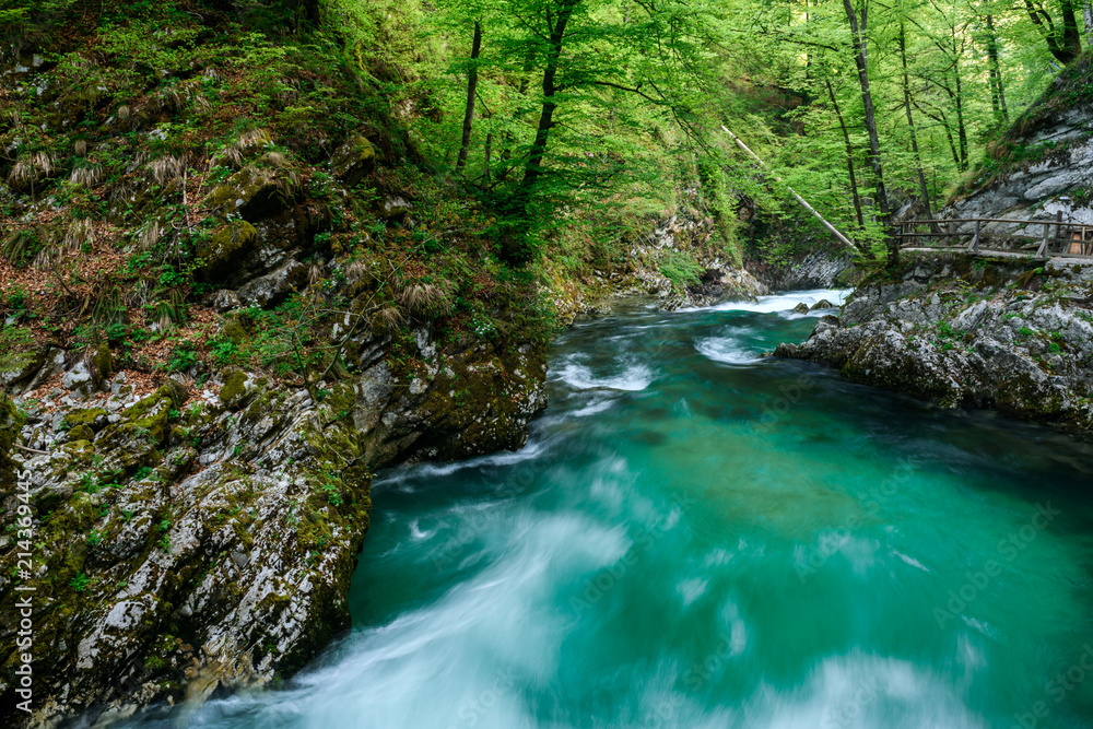 The famous Vintgar gorge Canyon near Bled lake with wooden walkway in Slovenia