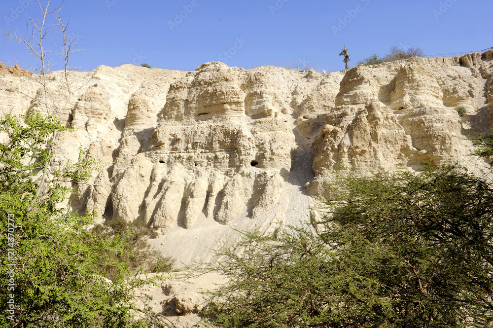 Nature Reserve, En Gedi, Wadi David, Judäa, Totes Meer, Israel, Naher Osten, Vorderasien