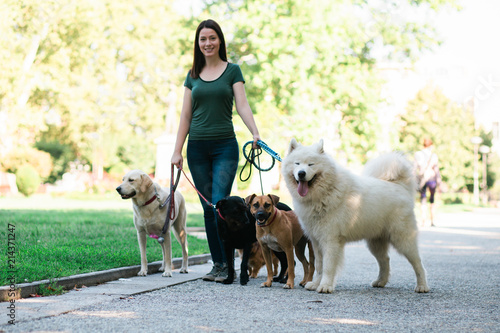 Photography Dog walker with dogs enjoying in park.