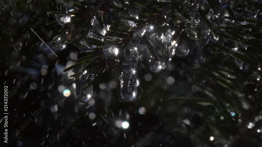 Extreme closeup shot of glittering frozen icicles shining like stars on fir branches under the rain against dark conifer background. Big heavy water drops rolling down. Extreme slow motion.
Extreme closeup shot of glittering frozen icicles shining like stars on fir branches under the rain against dark conifer background. Big heavy water drops rolling down. Extreme slow motion.