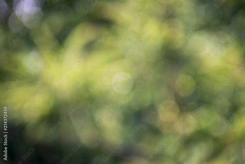 abstract nature blur for background