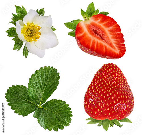 Fresh strawberry with leafs and flowers isolated on white background with clipping path
