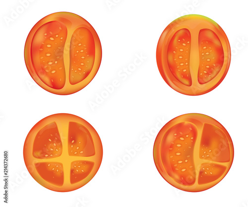 tomato slice vector and illustration