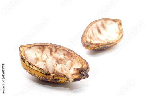 Cocoa pods on a white background.