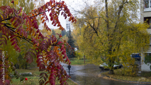 autumn in Russia