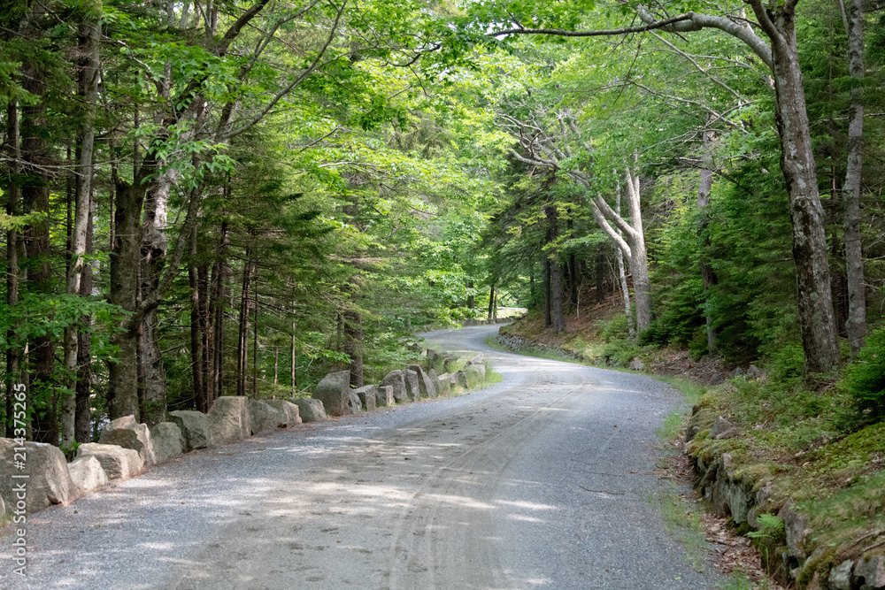 Obraz premium Długa i kręta droga