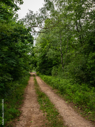 simple country road in summer