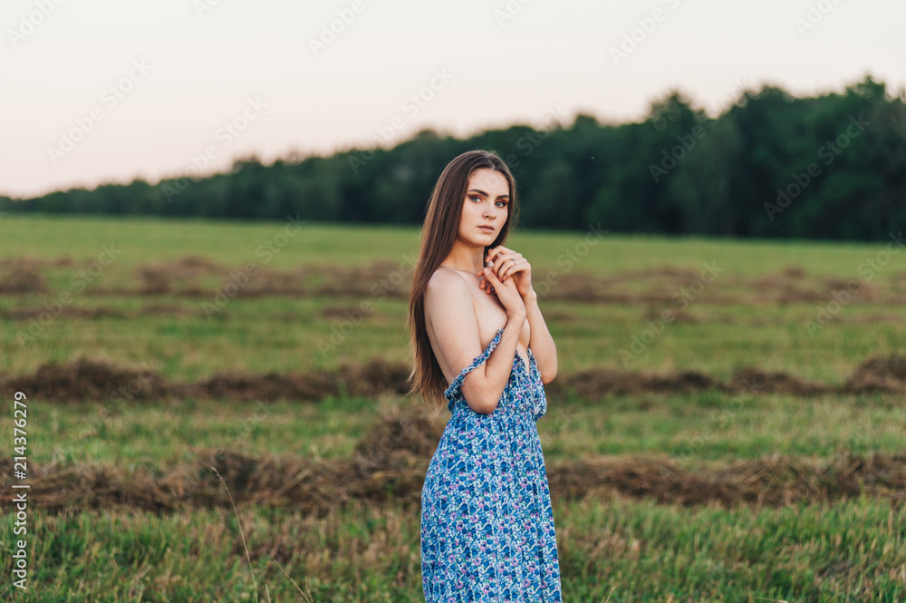 Beautiful young girl in a long sundress at sunset in the fields posing. Beautiful young girl in a long sundress at sunset in the fields posing.