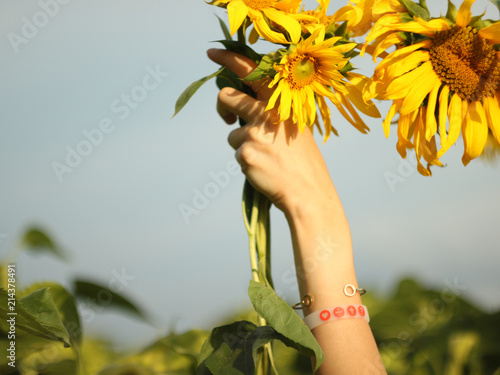 Holding sunflowers in the hand 