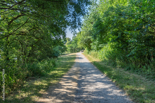 English Country Lane