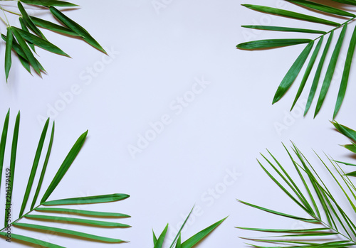 Creative minimal summer idea. Green leaf branches. Palm leaves. Tropical exotic background with empty space for text. Concept creative art. Flat lay  top view.