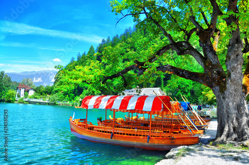 Traditional Pletna boat on the lake. In the background is the famous old castle on the cliff.Bled lake Slovenia,Europe  © miccolino