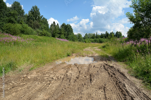 Off-road at the edge of the forest