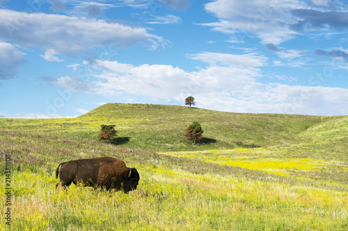 Black Hills South Dakota