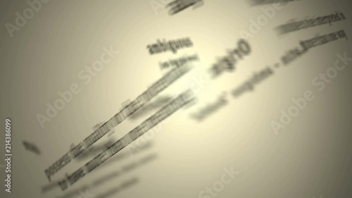 Definition: Ambiguous