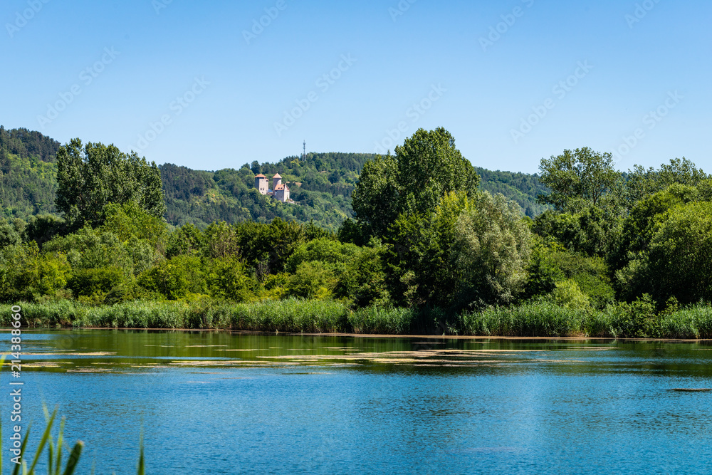 Obraz premium lake in deep forest