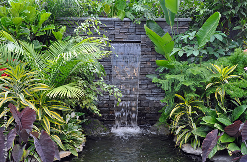 Tropical waterfall and pond