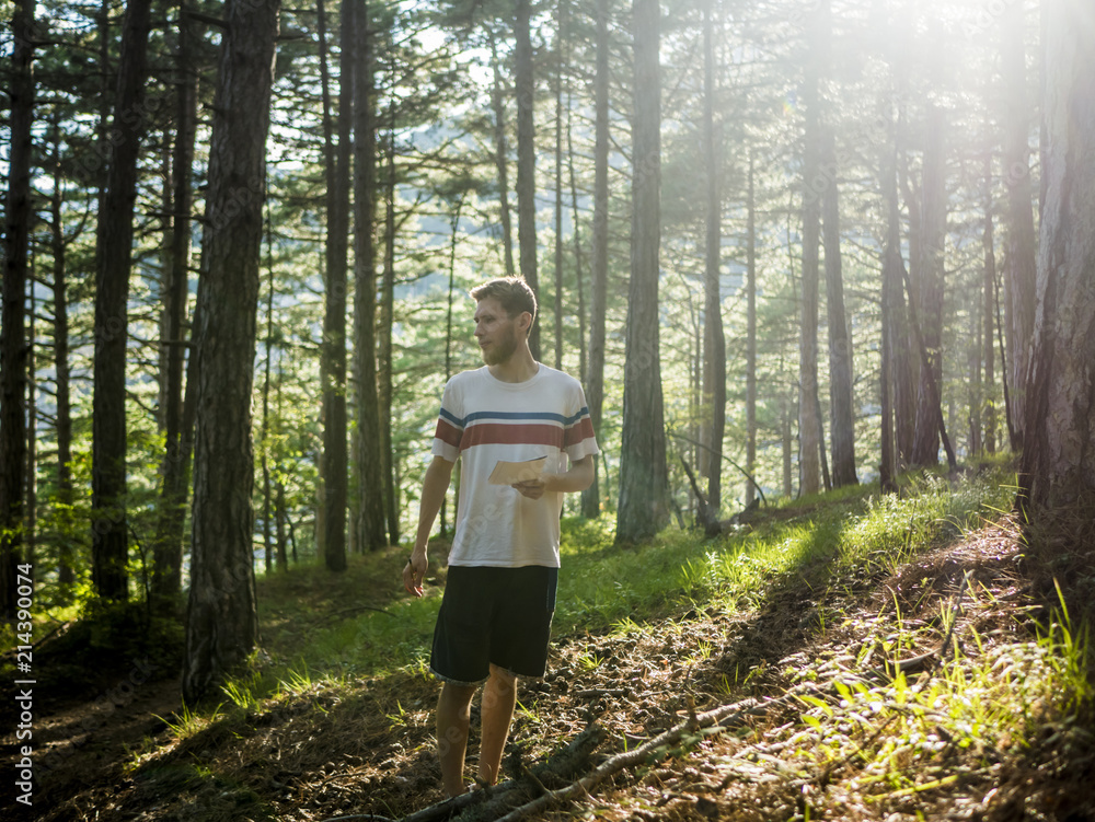 young man poet walking in the forest under the sunshine and write poetry in sketchbook young man poet walking in the forest under the sunshine and write poetry in sketchbook