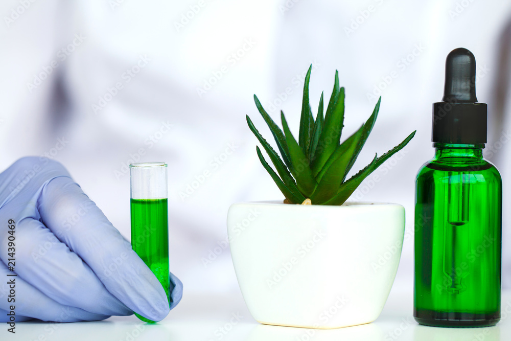 The scientist,dermatologist make the organic natural herb cosmetic product in the laboratory. beauty healthy skincare concept. herb medicine ,blank package,bottle,container.cream,serum - obrazy, fototapety, plakaty 