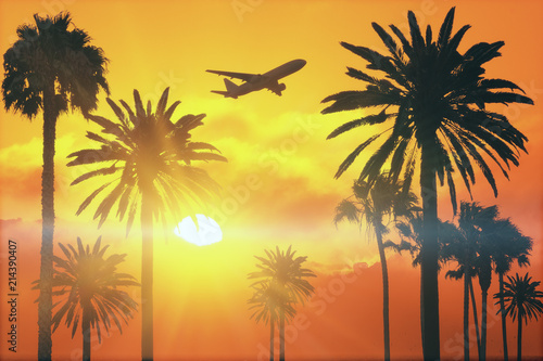 flying plane above palms at sunset © Who is Danny