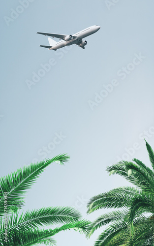 plane in clear sky above palms