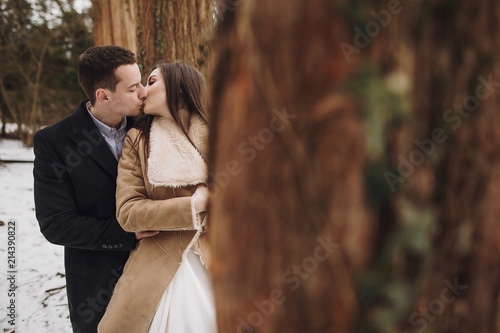 gorgeous wedding couple kissing in winter snowy park. stylish bride in coat and groom embracing under green trees in winter forest. romantic sensual moment of newlyweds