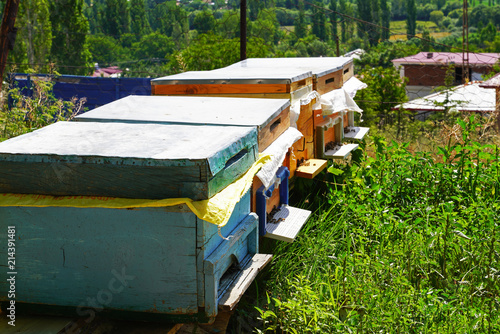 Hives in the apiary of a rural house, Kahramanmaras, Turkey