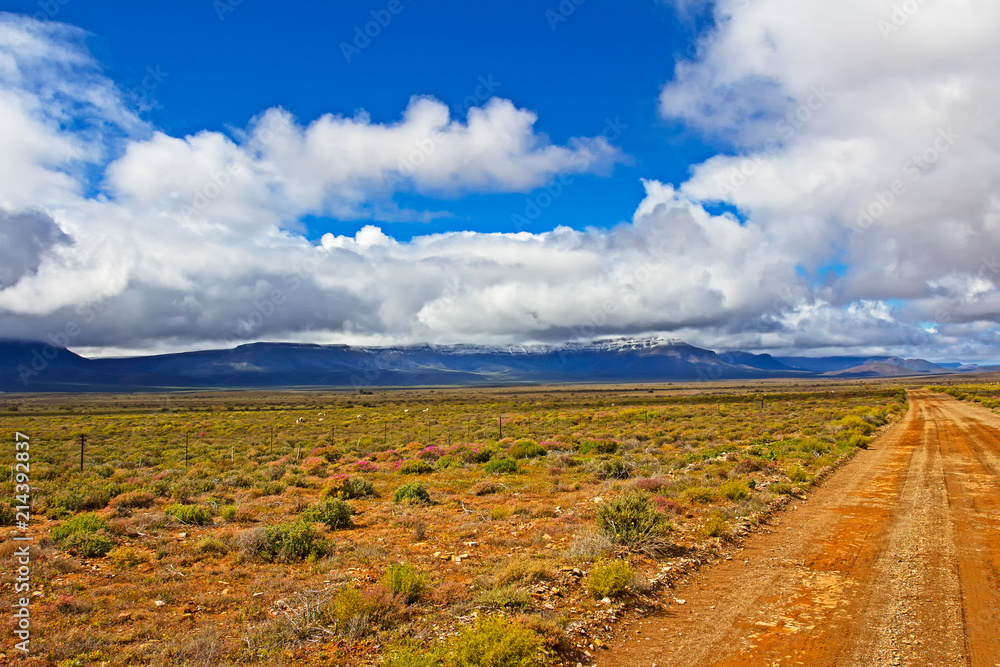Fototapeta premium Landscape in Karoo with snow covered mountains