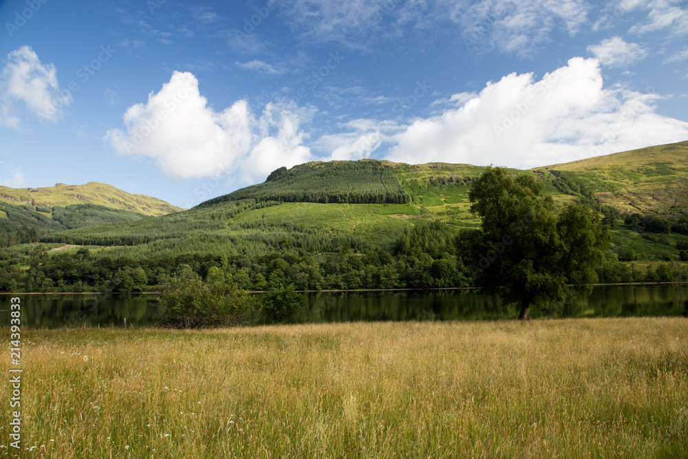 Scottish Highland Hillside and Loch on a Summer Day