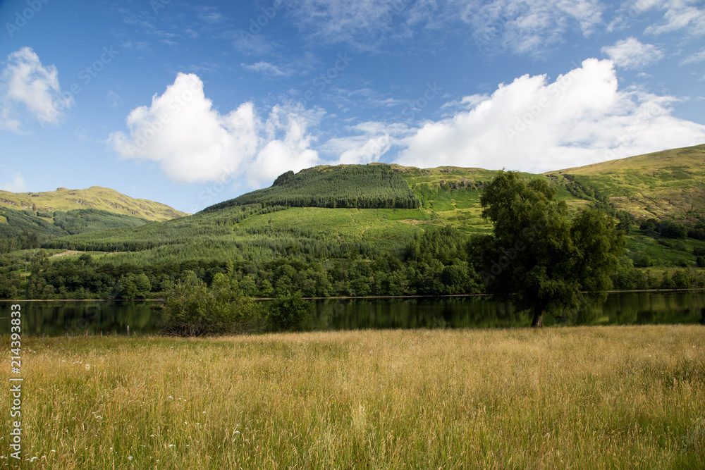Scottish Highland Hillside and Loch on a Summer Day Scottish Highland Hillside and Loch on a Summer Day