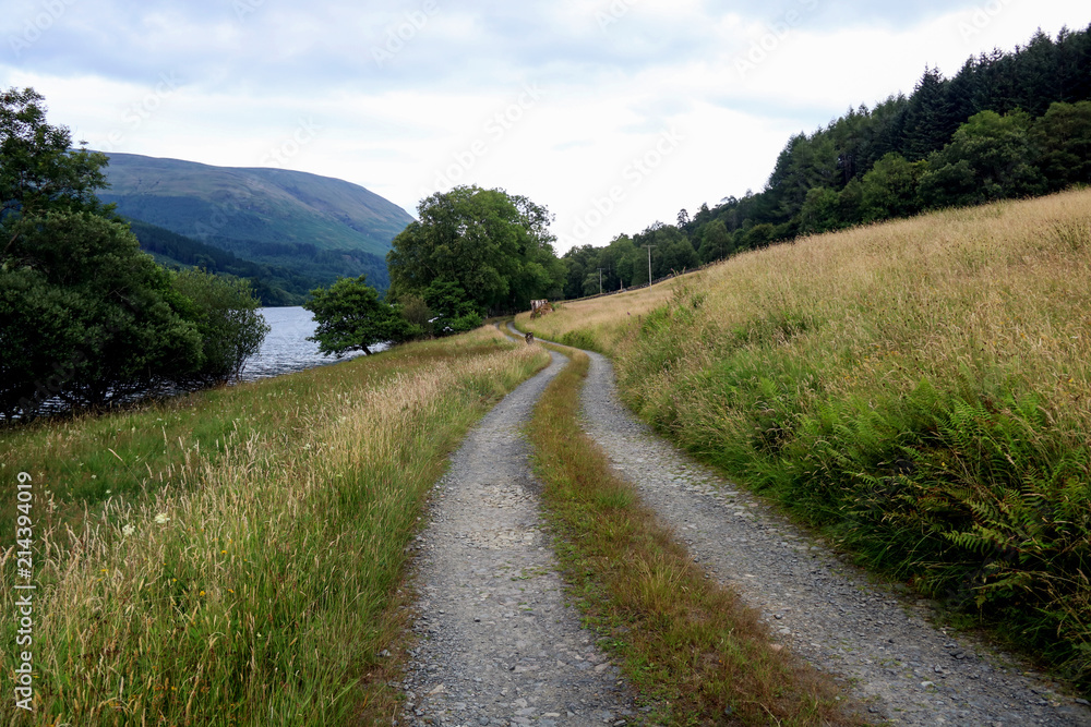 Track Beside a Scottish Highland Loch