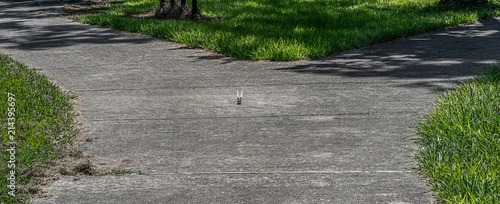 Lomg fork in the road. photo