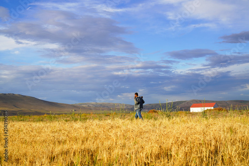 Man in yellow wheat meadow in Turkey. Conceptual design. Agricultural scene.. © Bilal
