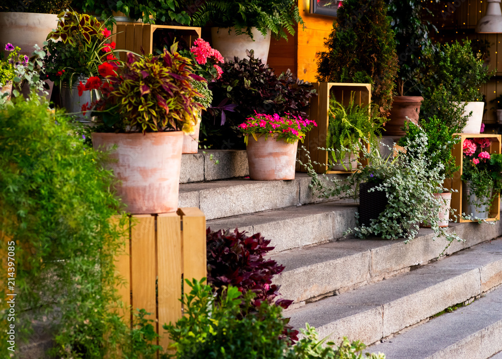 Naklejka premium decoration of flowers and wood of the entrance group on stone steps in a public place