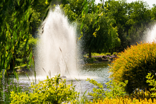 working fountain in an open reservoir surrounded by trees and flowers in a landscape park