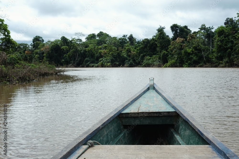 Javari valley, Amazonia / Brazil - FEB 15 2016: canoeing on the remote Itaquai river far from any civilization