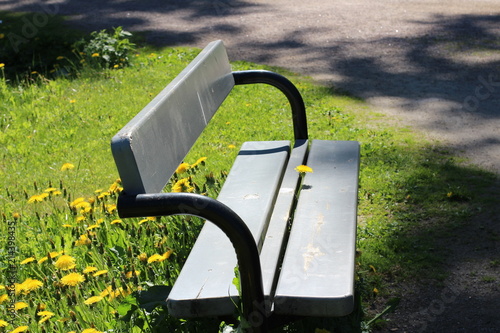 Konstfotografi Rebel dandelion claiming bench