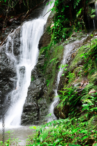 Beautiful nature waterfall in rain forest