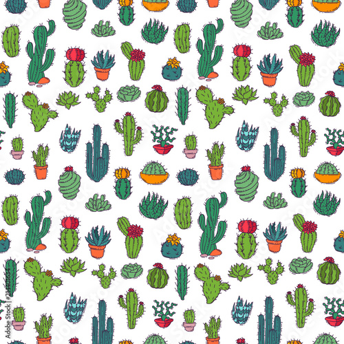 Cactus home nature vector illustration of green plant cactaceous tree with flower seamless pattern background
