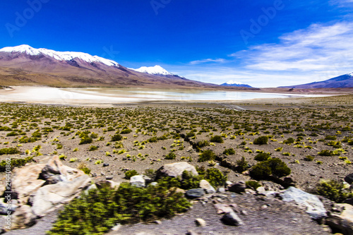 Charcota Lagoon at Bolivian Altiplano in the way to Uyuni Saltflats, Bolivia