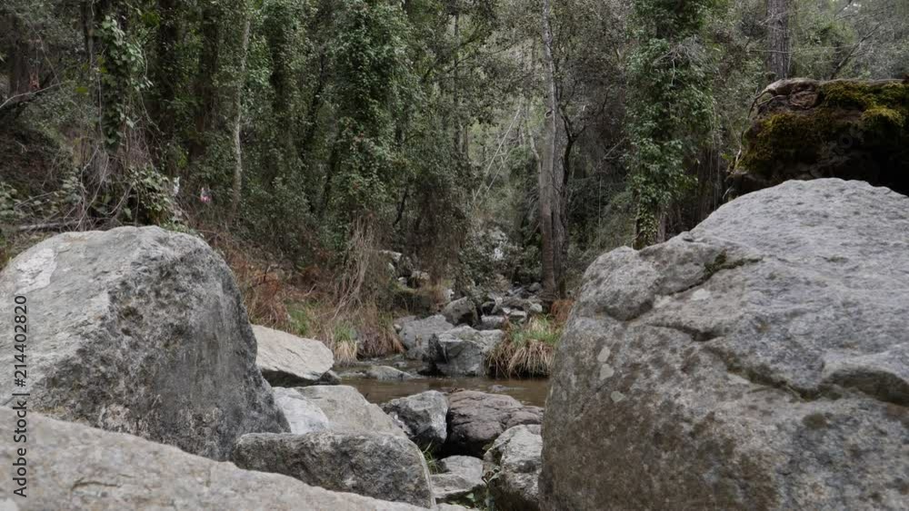 View of trees across a forest river as seen between two large boulders View of trees across a forest river as seen between two large boulders