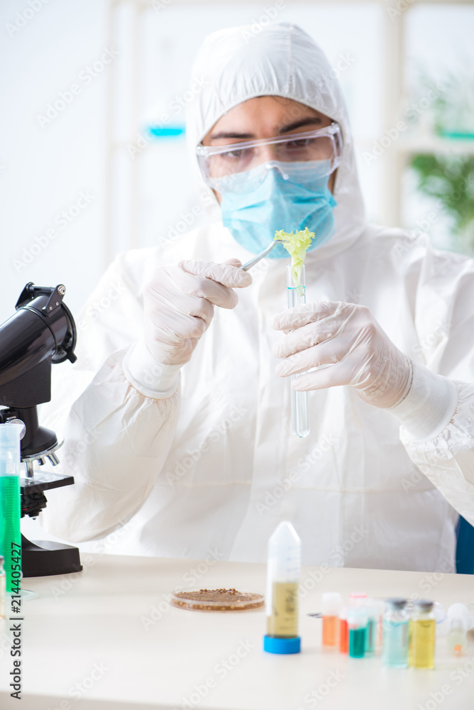 Male biochemist working in the lab on plants Male biochemist working in the lab on plants