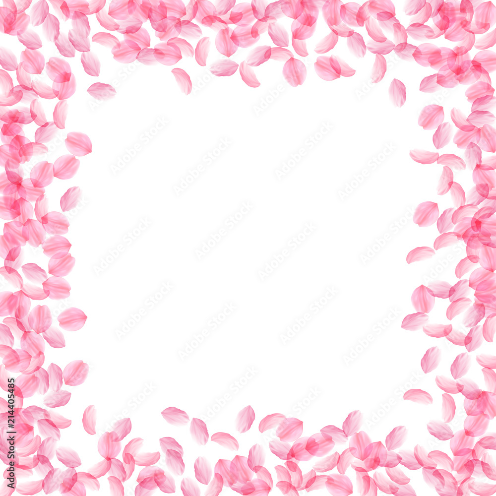 Sakura petals falling down. Romantic pink silky medium flowers. Thick flying cherry petals.