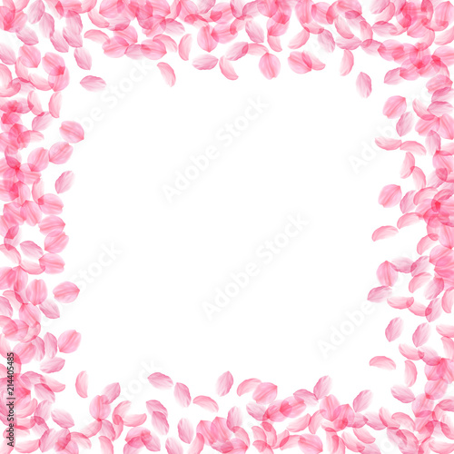 Fototapeta Naklejka Na Ścianę i Meble -  Sakura petals falling down. Romantic pink silky medium flowers. Thick flying cherry petals.