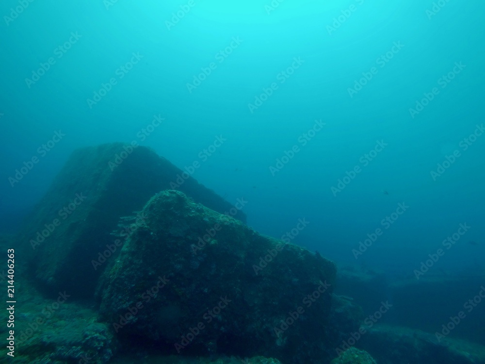 Fototapeta premium Under Water - Hachijo Island, Tokyo, Japan
