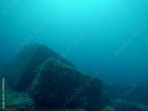 Under Water - Hachijo Island  Tokyo  Japan